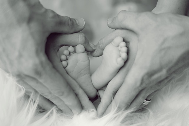 Monthly Family News Recap: What's New and Trending