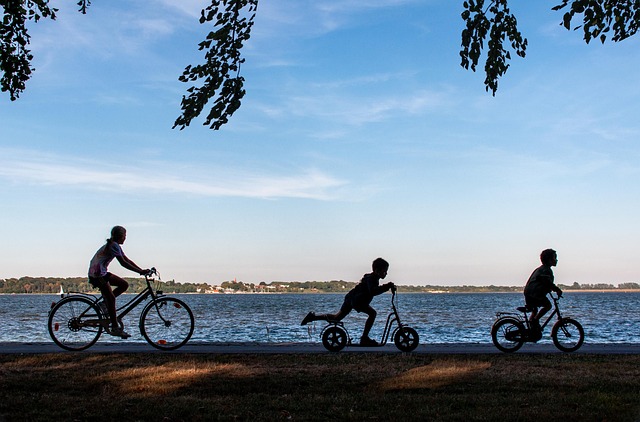 Technology-Free Activities to Connect with Your Family