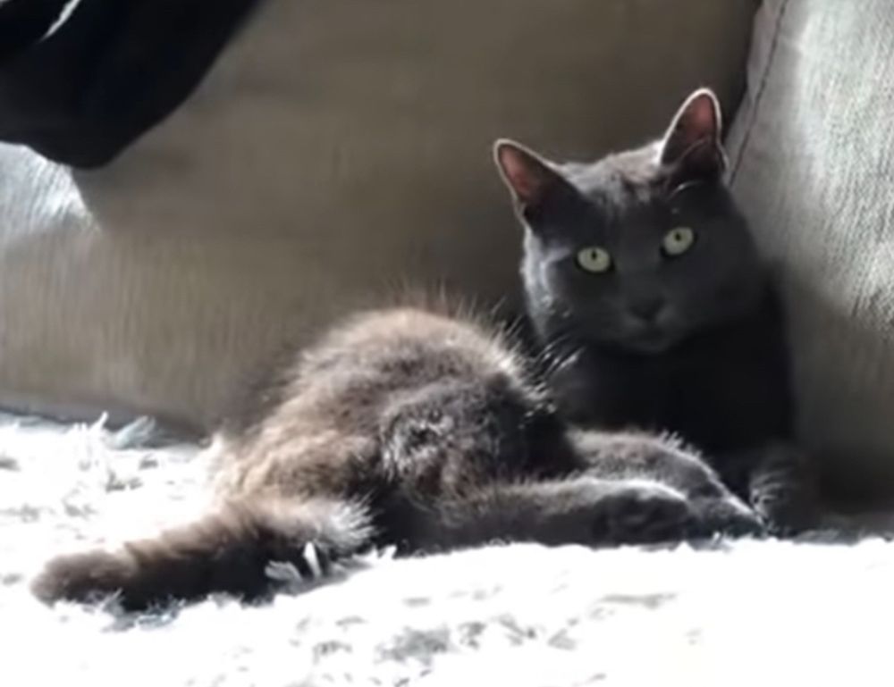 active learn parent guide fparentips active learn parent guide fparentips