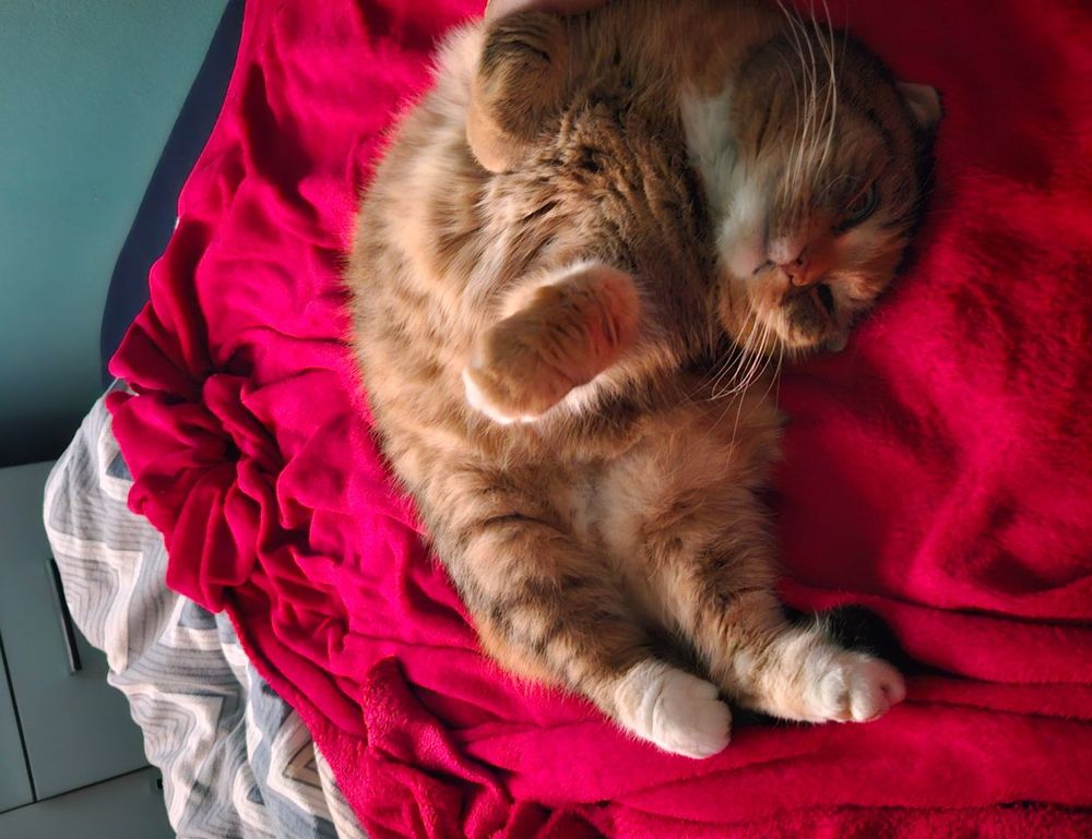 childrens toys made from likzaproz