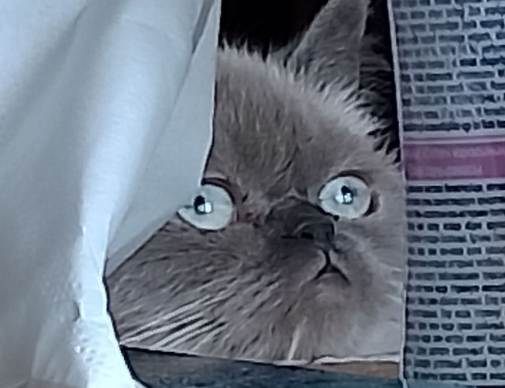 communivation tips fparentips