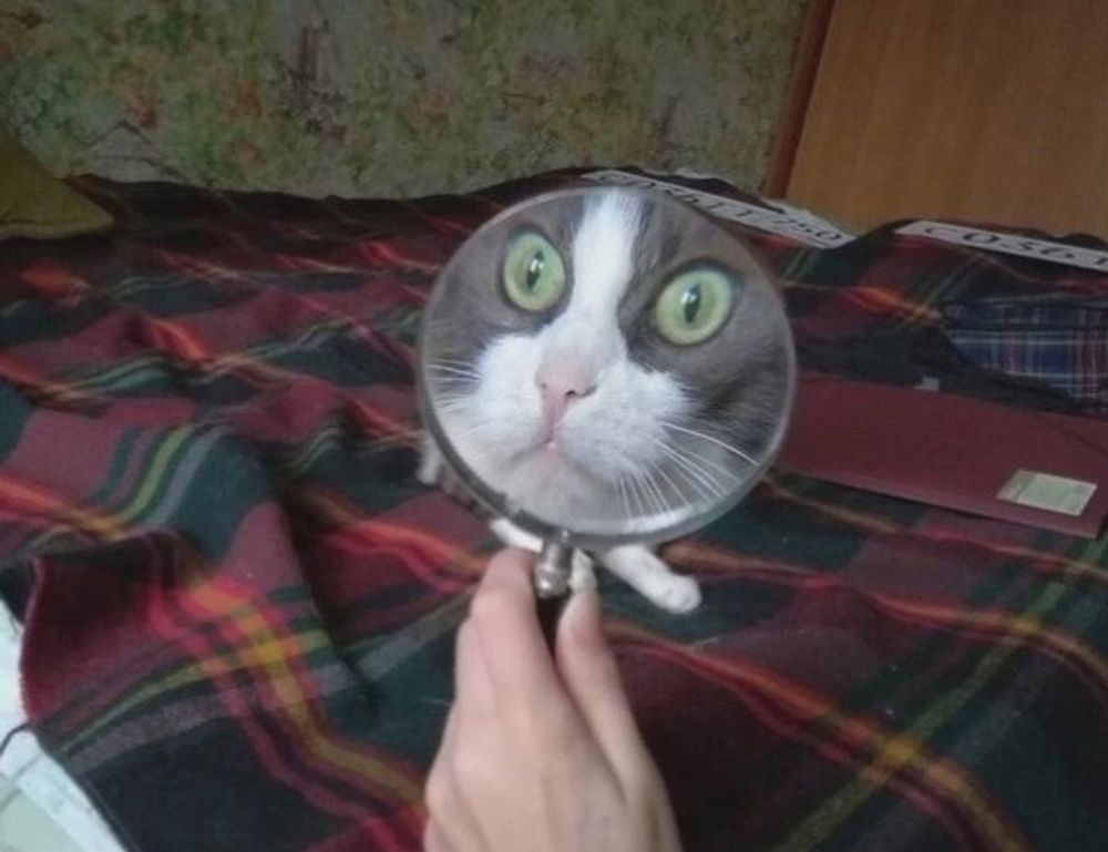 creative ideas convwbfamily