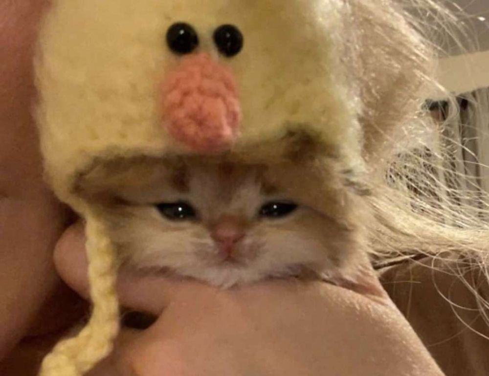 family education nitkaedu