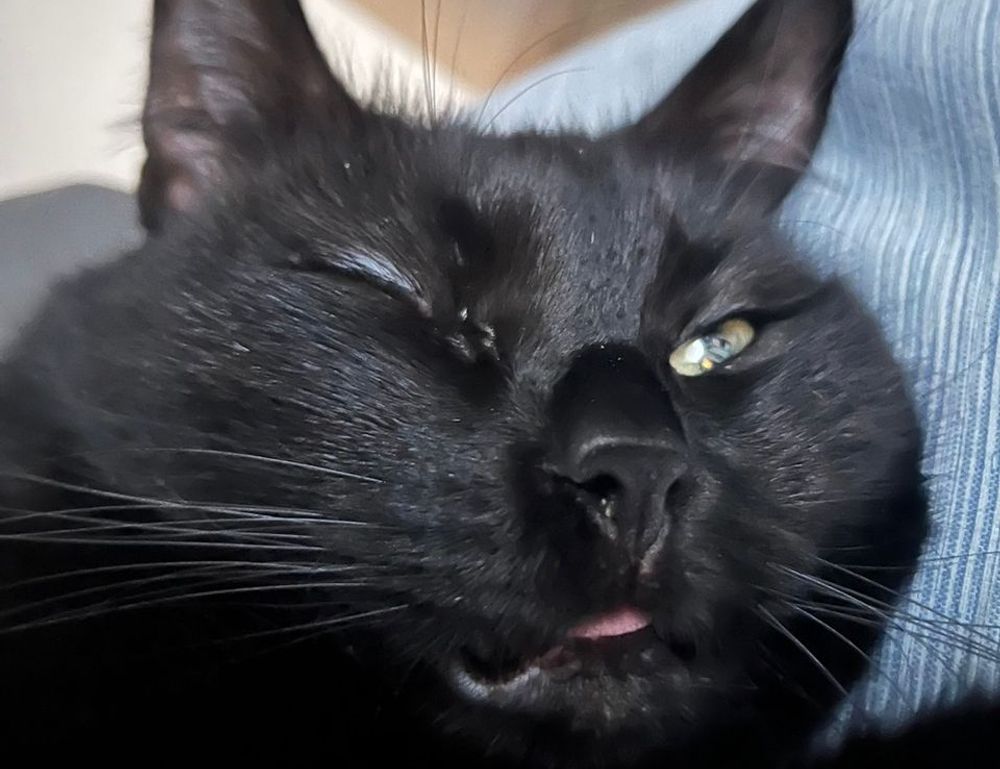 family education nitkaedu