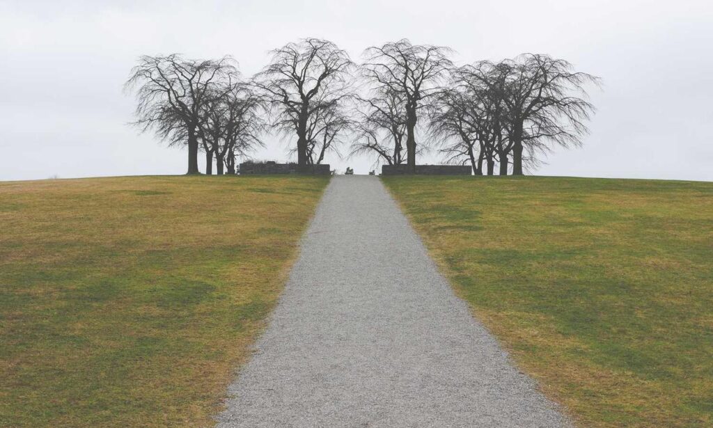 fitness news llblogfamily