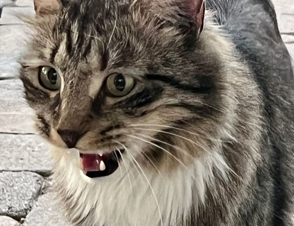 fpmomhacks parenting advice by famousparenting