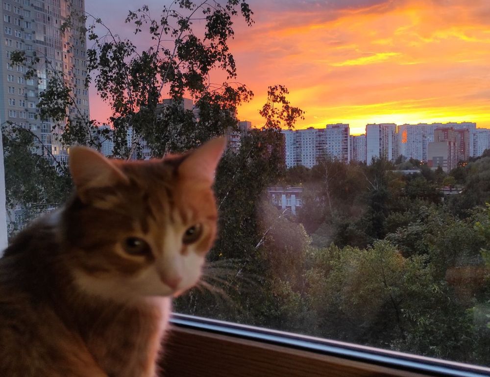 ginprokash industries ltd management