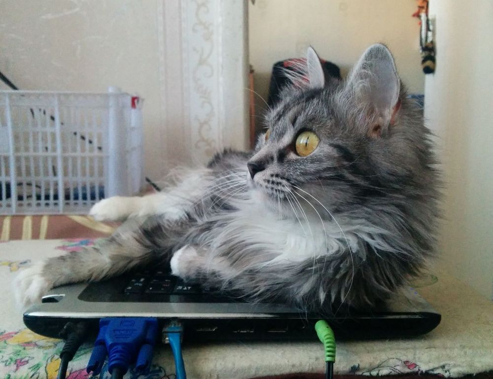 nutrition guide fparentips