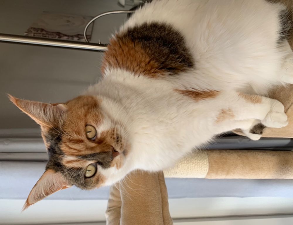 parenting tips convwbfamily