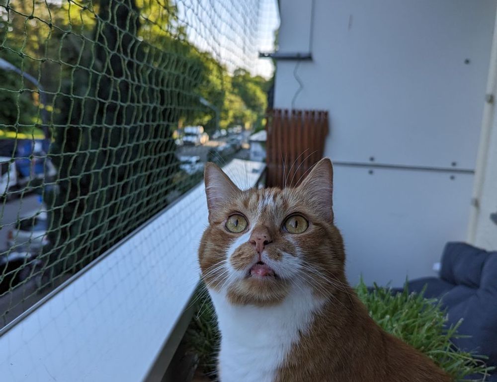 relationship guide fpmomhacks