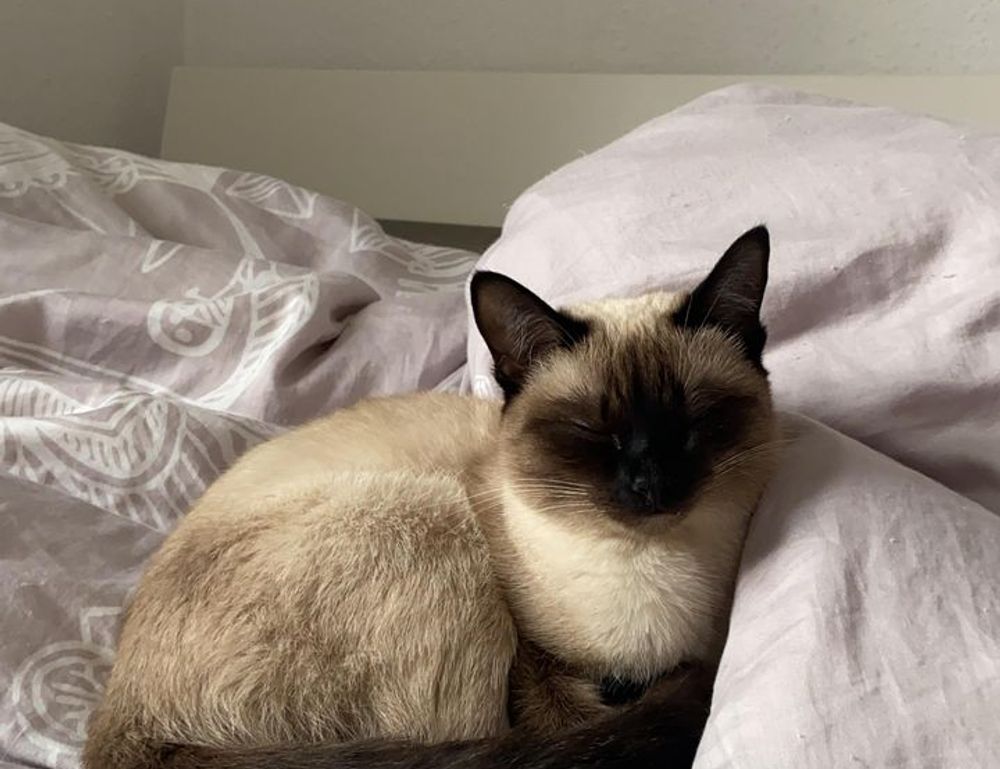 relationship tips fpmomhacks