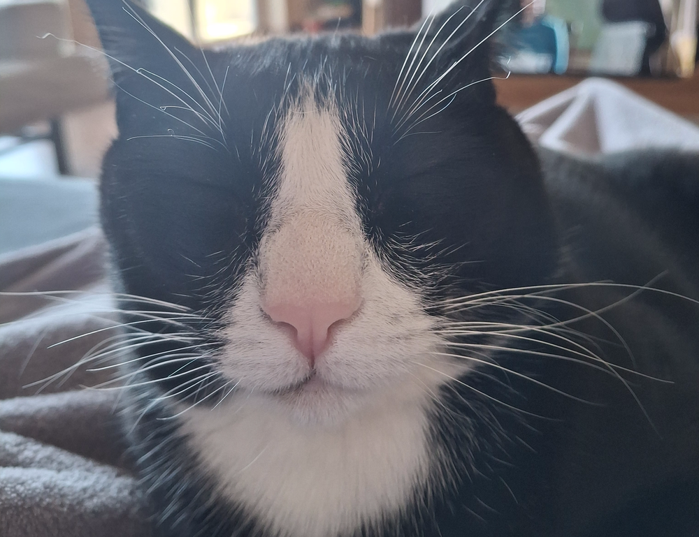 why can't i play game playonit55