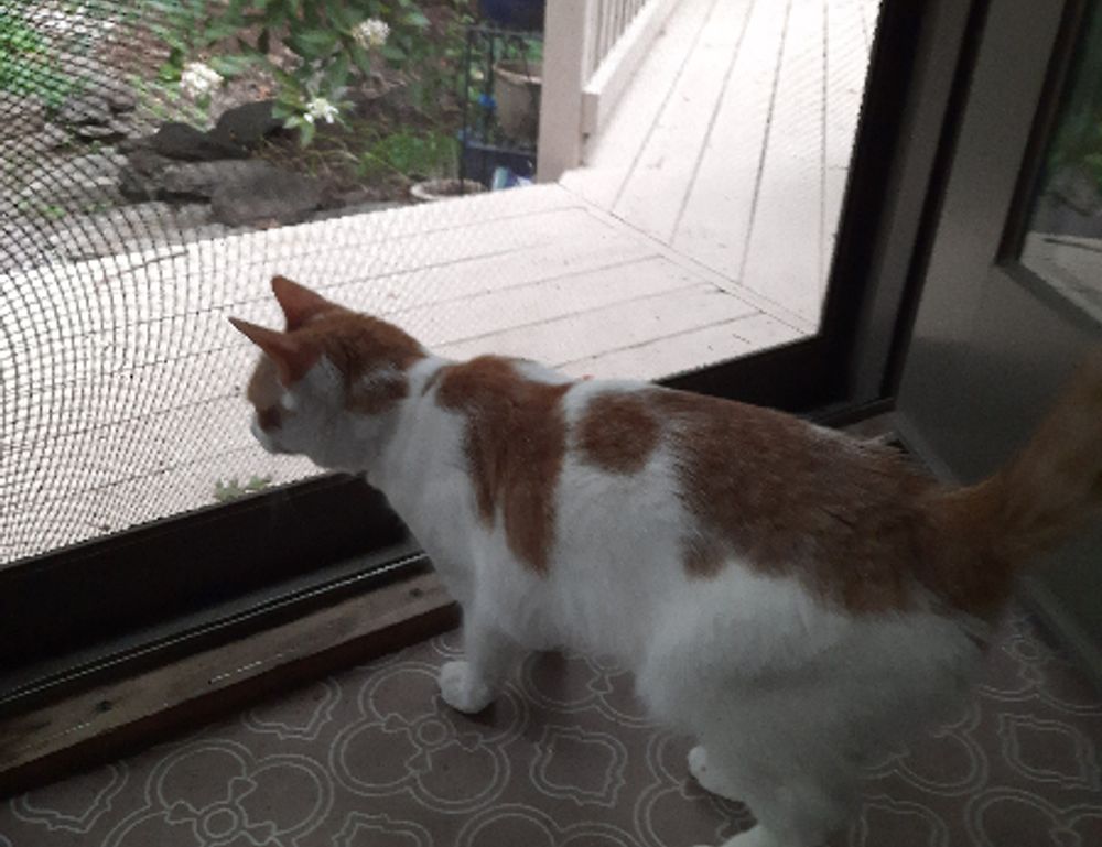 why school education is important nitkaedu