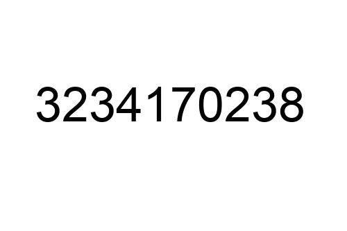 3234170238
