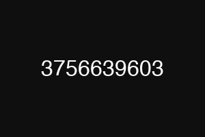 3756639603