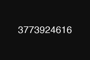 3773924616