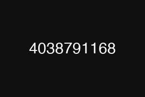 4038791168