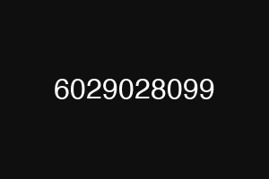 6029028099