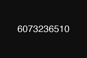 6073236510