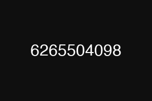 6265504098