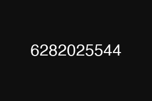6282025544