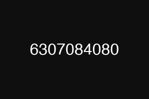 6307084080