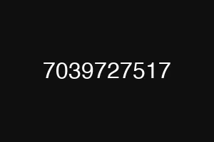 7039727517