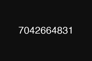 7042664831