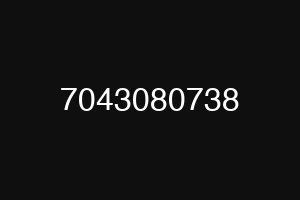 7043080738