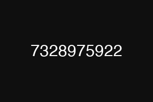7328975922