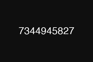 7344945827