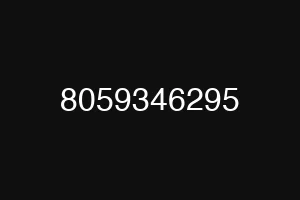 8059346295