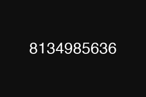 8134985636