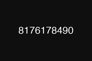 8176178490