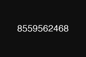 8559562468