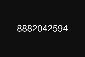 8882042594